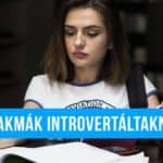 Szakmák introvertáltaknak