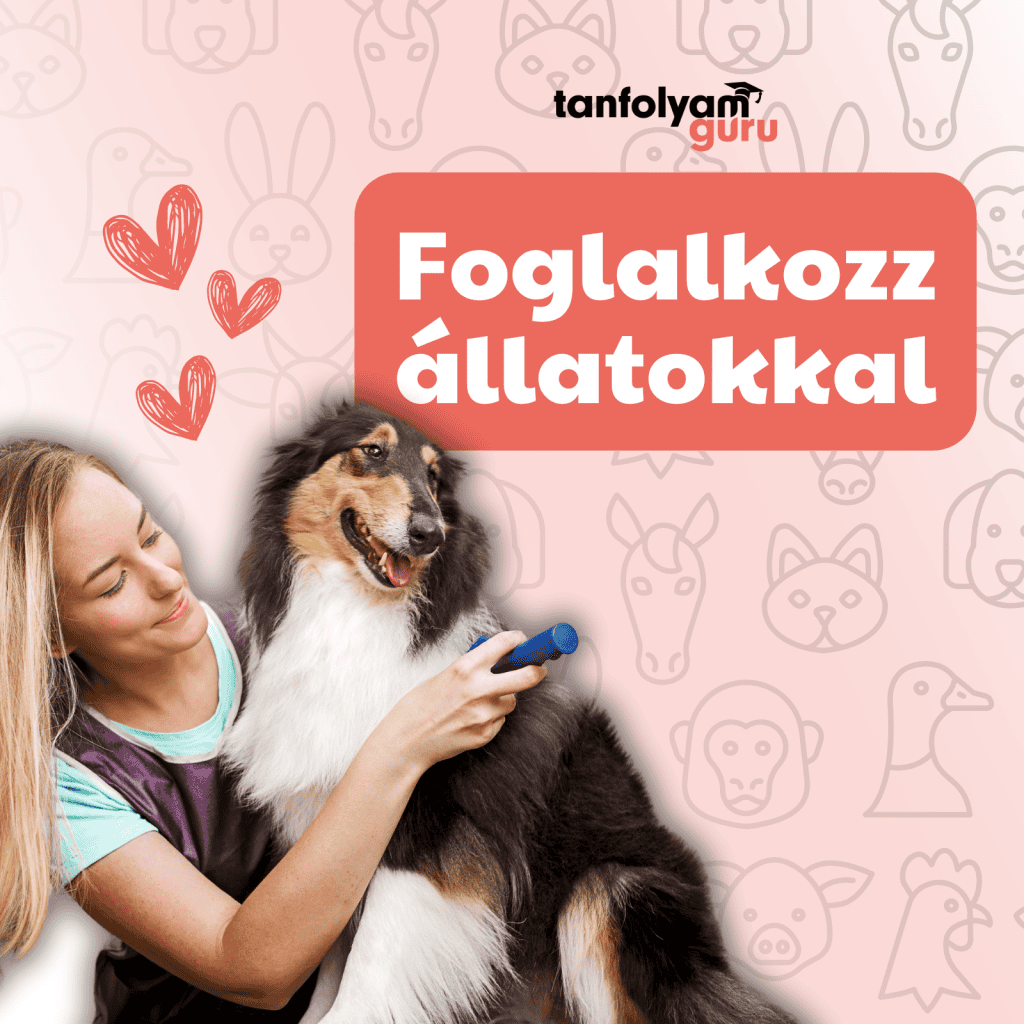 kutyakozmetikus képzés TanfolyamGuru
