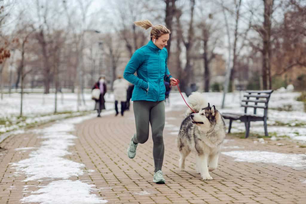 állatok hideg elleni védelem